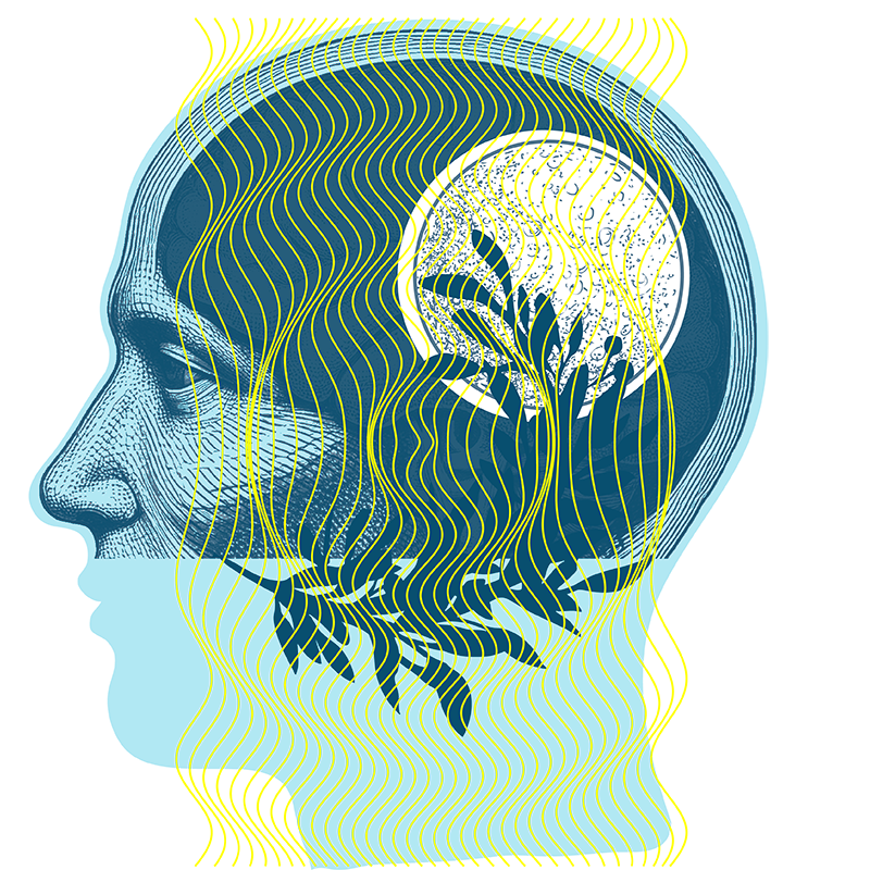 Illustration of a head with a highlighted brain and wave lines, representing neurofeedback.
