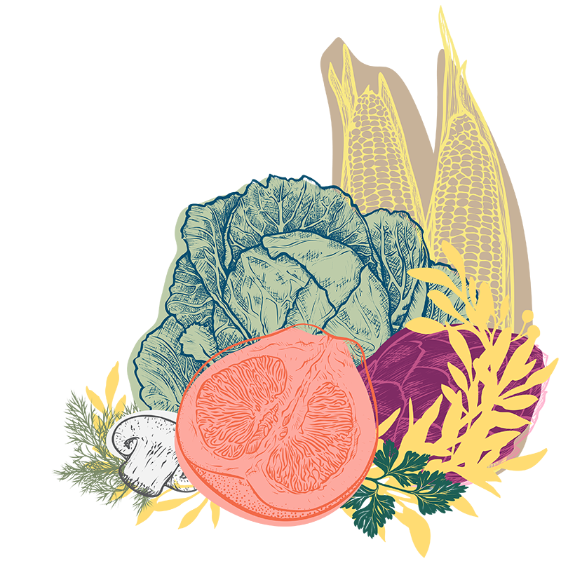 Illustration of vegetables, representing nutritional consulting.
