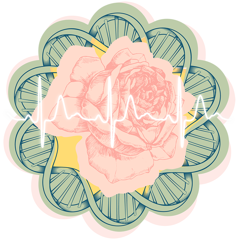 Illustration of a rose over a DNA helix with a heartbeat line, representing primary care.